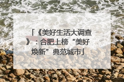 《美好生活大调查》：合肥上榜“美好焕新”典范城市