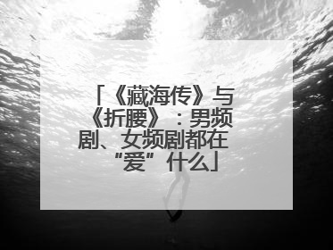 《藏海传》与《折腰》：男频剧、女频剧都在“爱”什么
