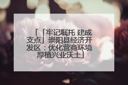 「牢记嘱托 建成支点」崇阳县经济开发区：优化营商环境 厚植兴业沃土
