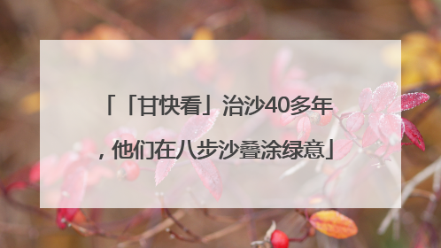 「甘快看」治沙40多年，他们在八步沙叠涂绿意