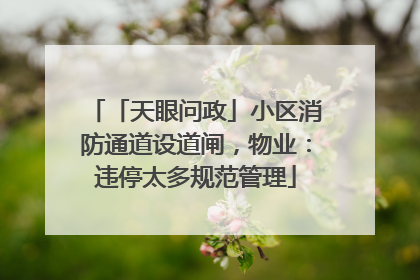 「天眼问政」小区消防通道设道闸，物业：违停太多规范管理