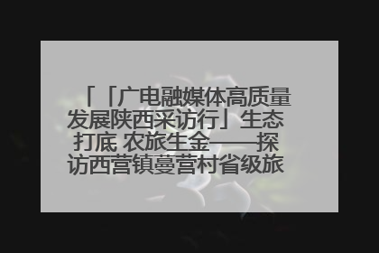 「广电融媒体高质量发展陕西采访行」生态打底 农旅生金——探访西营镇蔓营村省级旅游示范村的振兴密码