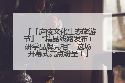 「庐陵文化生态旅游节」“精品线路发布+研学品牌亮相” 这场开幕式亮点纷呈！