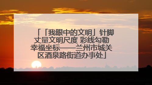 「我眼中的文明」针脚丈量文明尺度 彩线勾勒幸福坐标——兰州市城关区酒泉路街道办事处