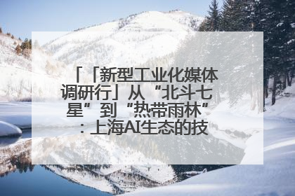 「新型工业化媒体调研行」从“北斗七星”到“热带雨林”：上海AI生态的技术商业共生密码
