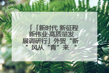 「新时代 新征程 新伟业·高质量发展调研行」外贸“新”风从“青”来 “双向奔赴”启新程