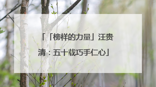 「榜样的力量」汪贵清：五十载巧手仁心