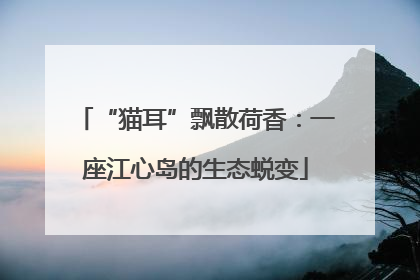 “猫耳”飘散荷香：一座江心岛的生态蜕变