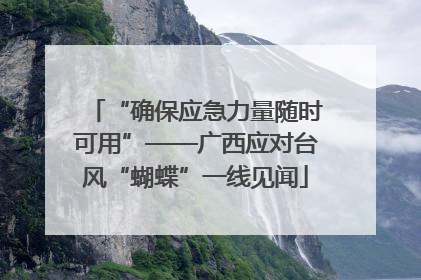 “确保应急力量随时可用”——广西应对台风“蝴蝶”一线见闻