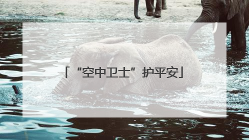 “空中卫士”护平安
