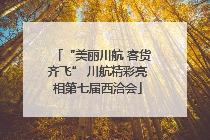 “美丽川航 客货齐飞” 川航精彩亮相第七届西洽会