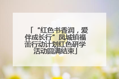 “红色书香润，爱伴成长行”凤城镇福蕾行动计划红色研学活动圆满结束