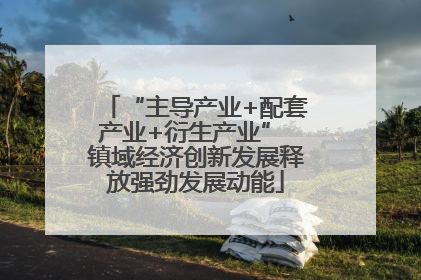 “主导产业+配套产业+衍生产业” 镇域经济创新发展释放强劲发展动能