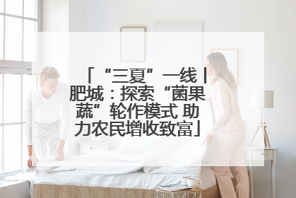 “三夏”一线丨肥城：探索“菌果蔬”轮作模式 助力农民增收致富