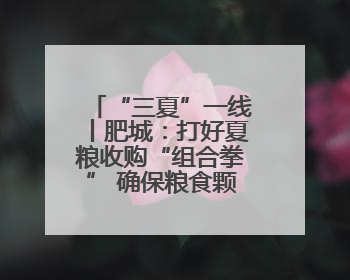 “三夏”一线丨肥城：打好夏粮收购“组合拳” 确保粮食颗粒归仓