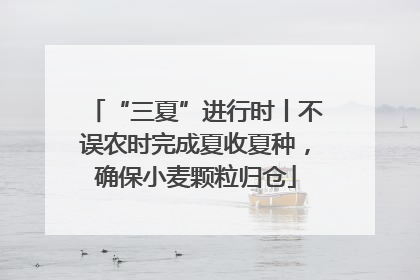 “三夏”进行时丨不误农时完成夏收夏种，确保小麦颗粒归仓