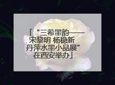 “三希墨韵——宋黎明 杨稳新 丹萍水墨小品展”在西安举办