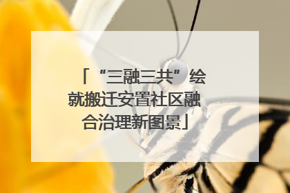 “三融三共”绘就搬迁安置社区融合治理新图景
