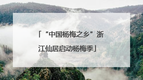 “中国杨梅之乡”浙江仙居启动杨梅季