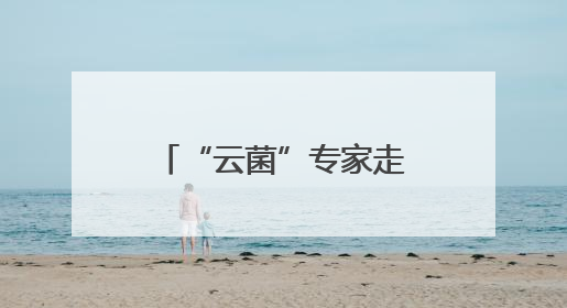 “云菌”专家走进“彩云英才荟”解读“一朵蘑菇”的产业未来