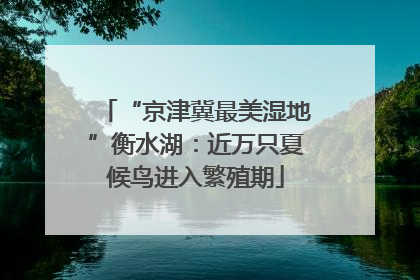 “京津冀最美湿地”衡水湖：近万只夏候鸟进入繁殖期
