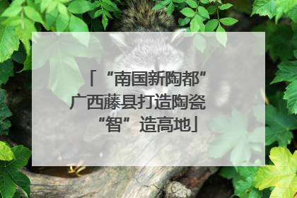 “南国新陶都”广西藤县打造陶瓷“智”造高地