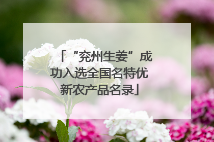 “兖州生姜”成功入选全国名特优新农产品名录