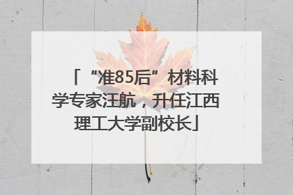 “准85后”材料科学专家汪航，升任江西理工大学副校长