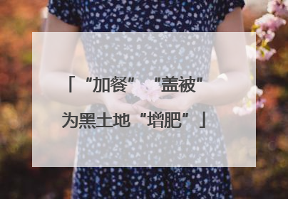 “加餐”“盖被” 为黑土地“增肥”