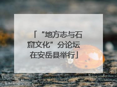 “地方志与石窟文化”分论坛在安岳县举行