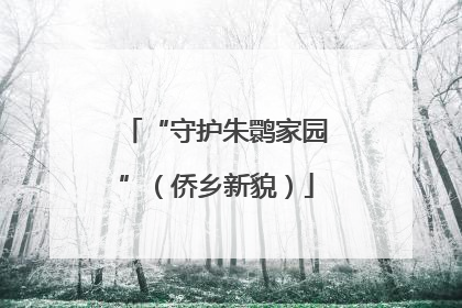 “守护朱鹮家园”（侨乡新貌）