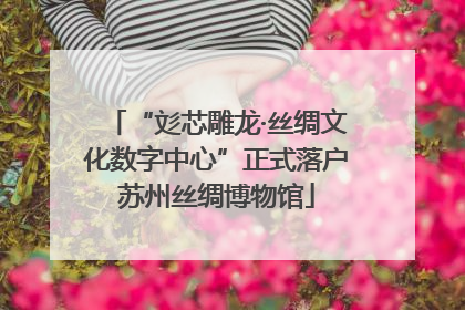 “彣芯雕龙·丝绸文化数字中心”正式落户苏州丝绸博物馆