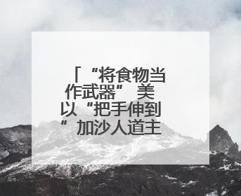 “将食物当作武器” 美以“把手伸到”加沙人道主义物资分发