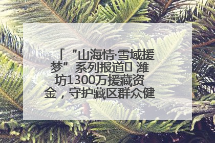 “山海情·雪域援梦”系列报道⑪ 潍坊1300万援藏资金，守护藏区群众健康“最后一公里”