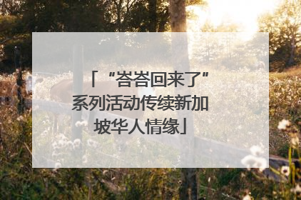 “峇峇回来了”系列活动传续新加坡华人情缘