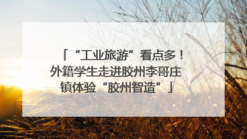 “工业旅游”看点多！外籍学生走进胶州李哥庄镇体验“胶州智造”