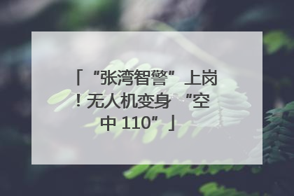 “张湾智警”上岗！无人机变身 “空中 110”