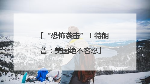 “恐怖袭击”！特朗普：美国绝不容忍