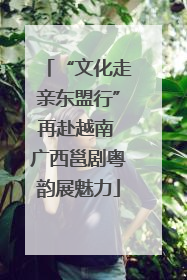 “文化走亲东盟行”再赴越南 广西邕剧粤韵展魅力