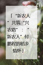 “新农人”共筑“兴农路”：“新农人”付鹏程的稻乡情怀