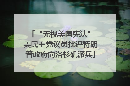 “无视美国宪法” 美民主党议员批评特朗普政府向洛杉矶派兵