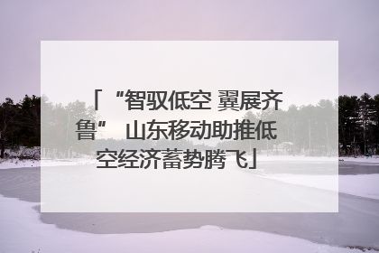 “智驭低空 翼展齐鲁” 山东移动助推低空经济蓄势腾飞