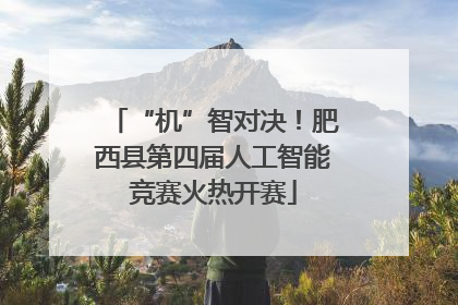 “机”智对决！肥西县第四届人工智能竞赛火热开赛