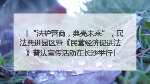 “法护营商，典亮未来”，民法典进园区暨《民营经济促进法》普法宣传活动在长沙举行