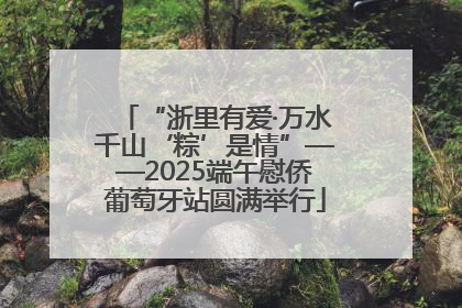 “浙里有爱·万水千山‘粽’是情”——2025端午慰侨葡萄牙站圆满举行