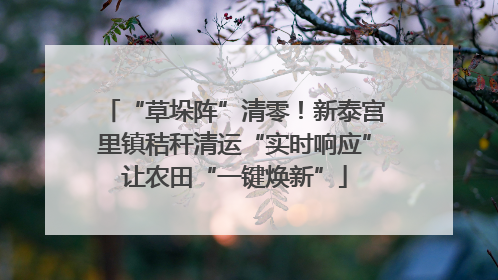 “草垛阵”清零！新泰宫里镇秸秆清运“实时响应”让农田“一键焕新”