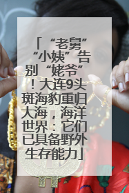 “老舅”“小姨”告别“姥爷”！大连9头斑海豹重归大海，海洋世界：它们已具备野外生存能力