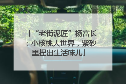 “老街泥匠”杨富长：小核桃大世界，紫砂里捏出生活味儿