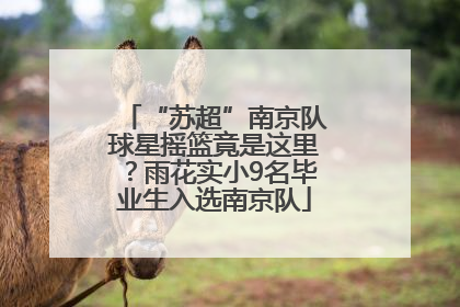 “苏超”南京队球星摇篮竟是这里？雨花实小9名毕业生入选南京队