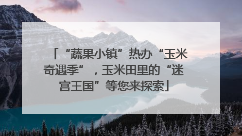 “蔬果小镇”热办“玉米奇遇季”，玉米田里的“迷宫王国”等您来探索
